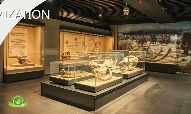 Museum Display Company Professional Custom Museum Displays 1