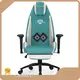 Professional Gaming Chair Company 1