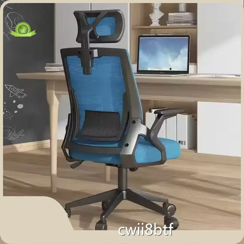 High Quality Affordable Ergonomic Office Chair Affordable Ergonomic Office Chair Company 1