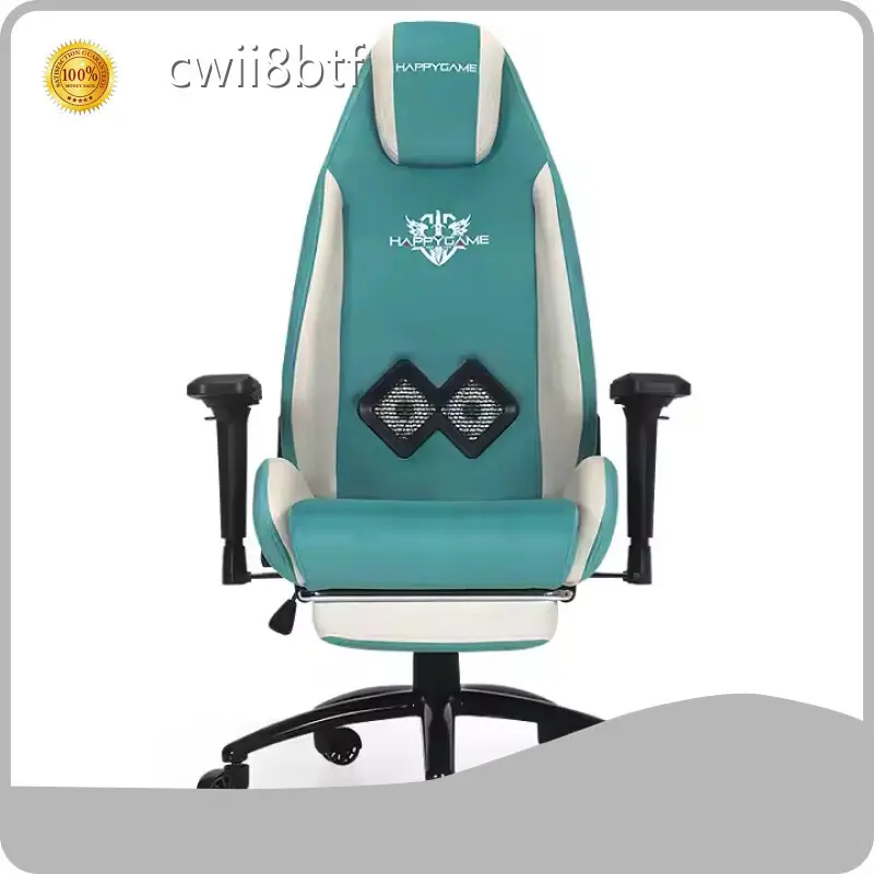 Best Price Top Rated Gaming Chairs Factory 1
