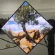 Tft Lcd Display Within 7 Days by Bestar 7