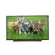 Outdoor Lcd Advertising Display Within 7 Days by Bestar 3