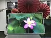Lcd Display Screen Within 7 Days Wholesale - Bestar 3