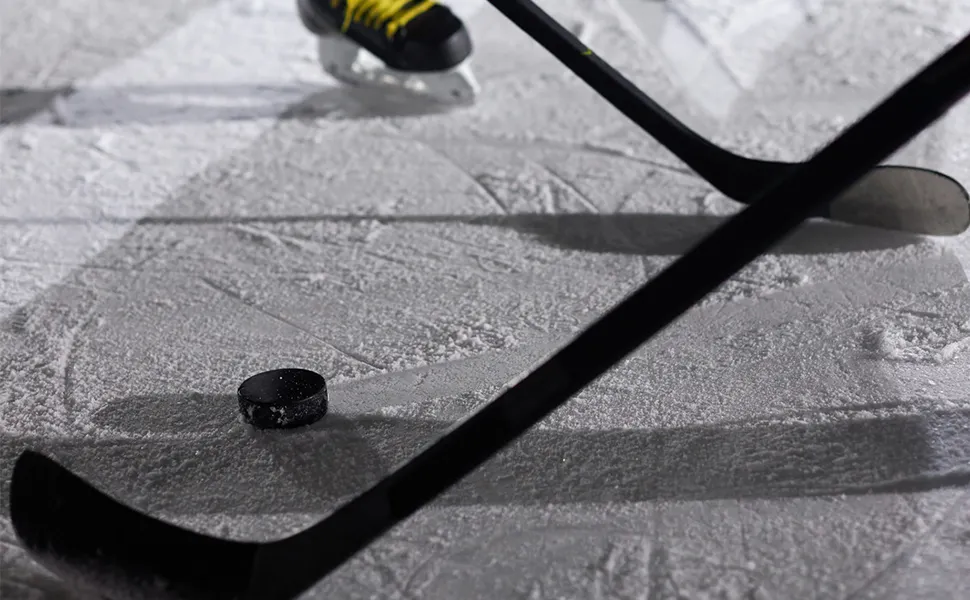 Nhl Logo Hockey Pucks by ACEKING 5