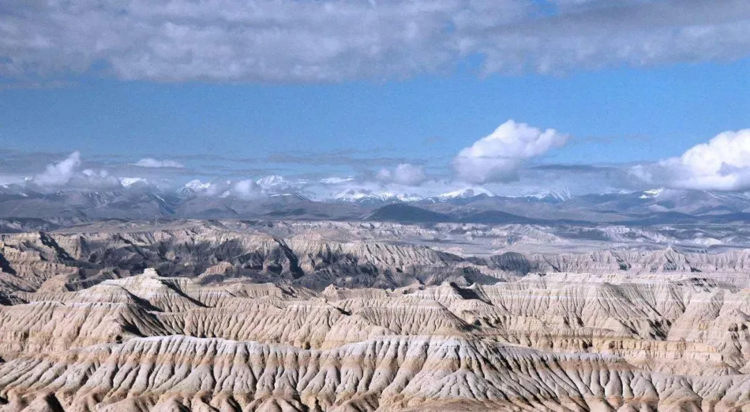 Why Lithium prices have skyrocketed? 1