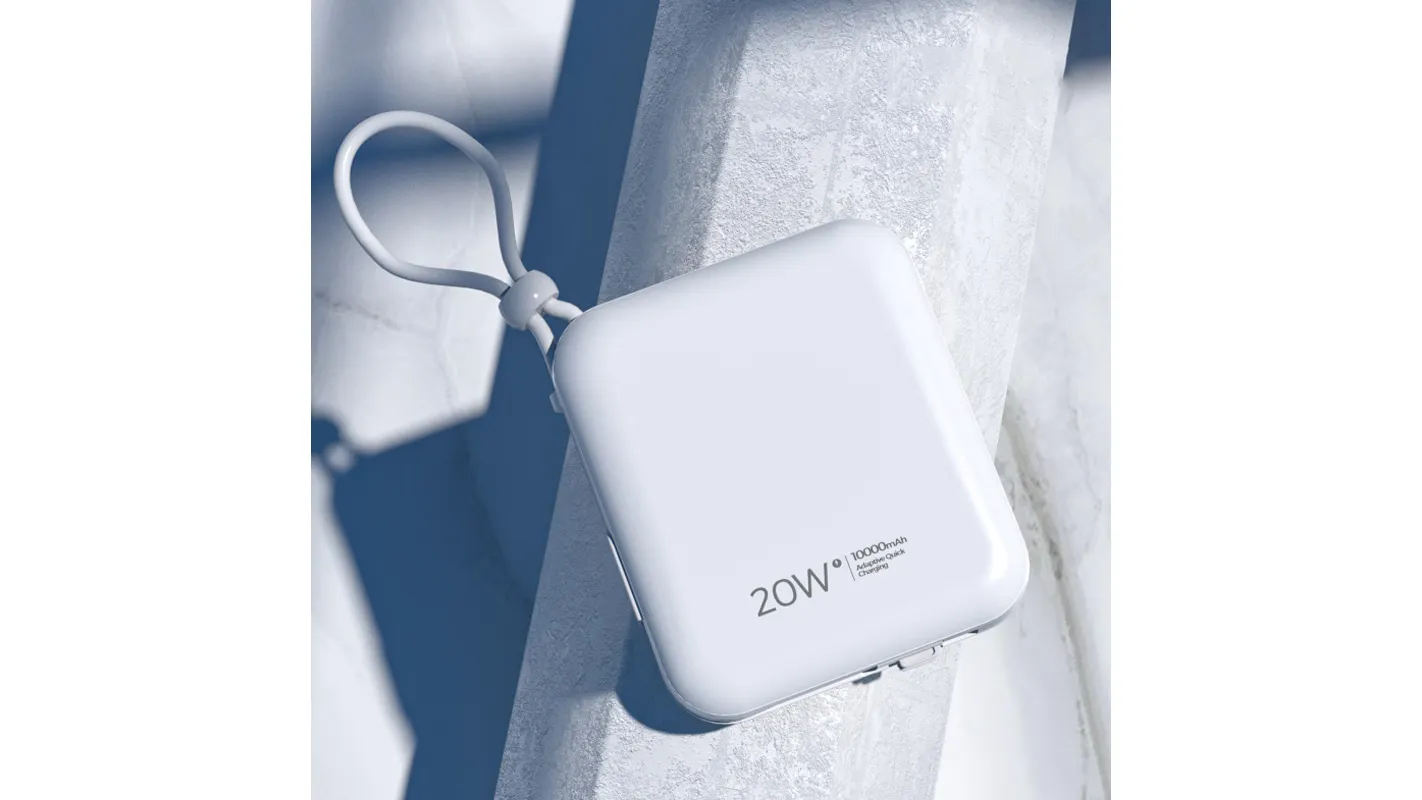 best price carry bag supplier company | iFlowPower 5