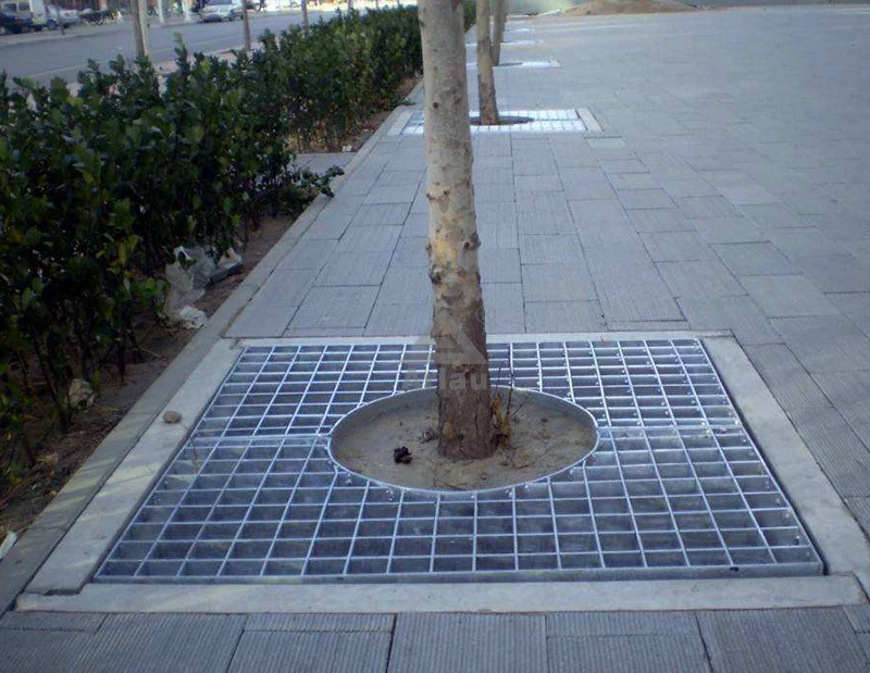 صريف بركة شجرة 1
