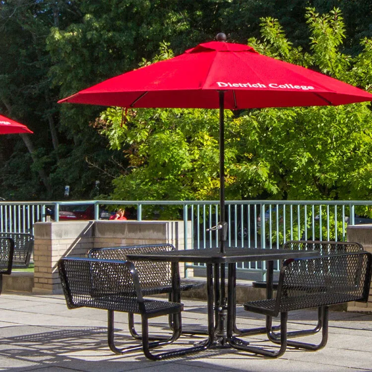 Expanded metal square thermoplastic backrest picnic table 1