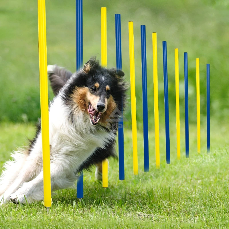 Dog park pet weave post 1