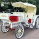 Ice Cream Food Trailer by Cnreally Known 1