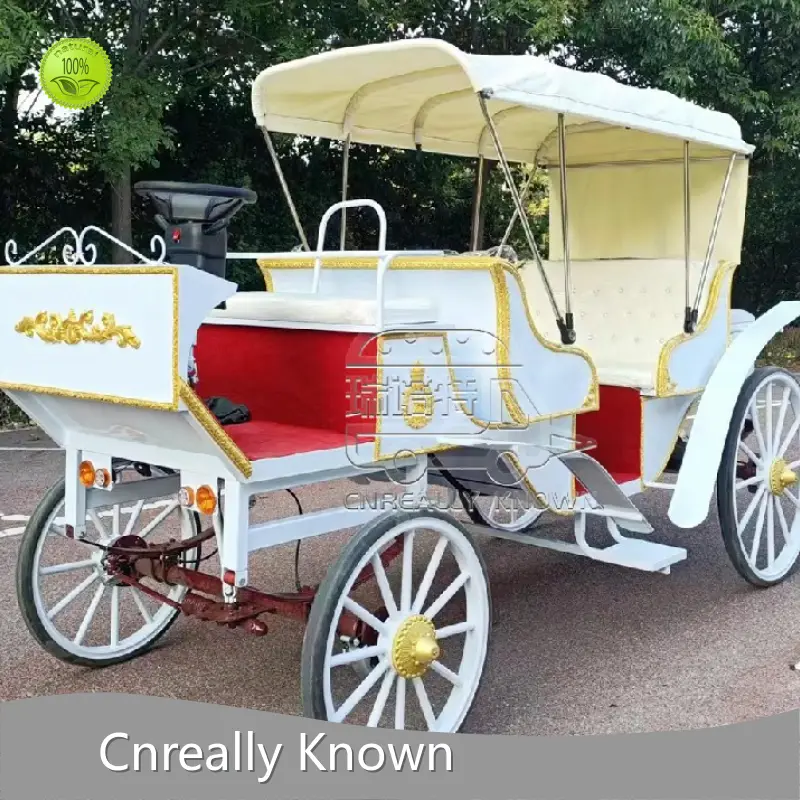Wholesalecustom Food Trailers for Sale 1
