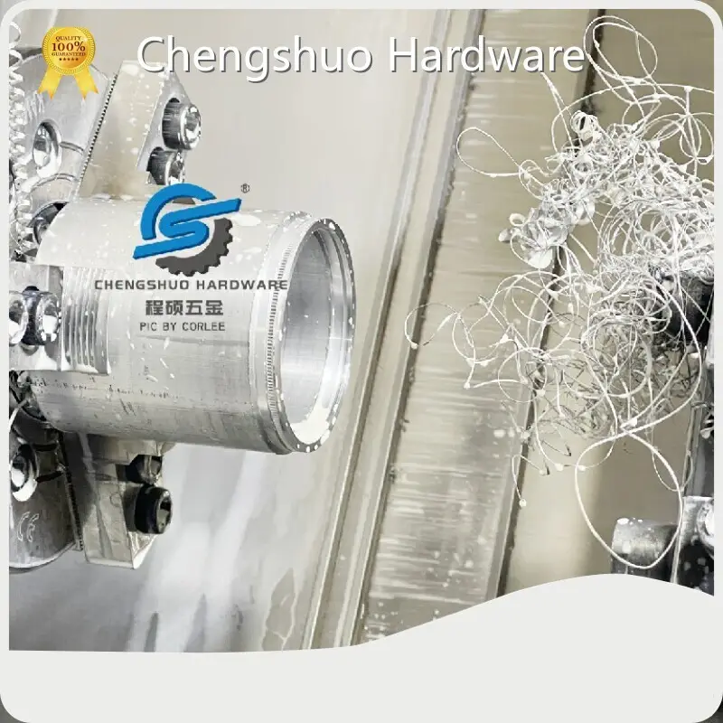 Precision Turned Parts Manufacturer Blue - - Chengshuo Hardware 1