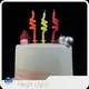 Magic Lights Custom Birthday Cake Candles 500000+factory 1