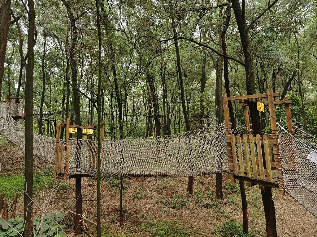 Garden Obstacle Course Equipment for Industry New Arrival 3