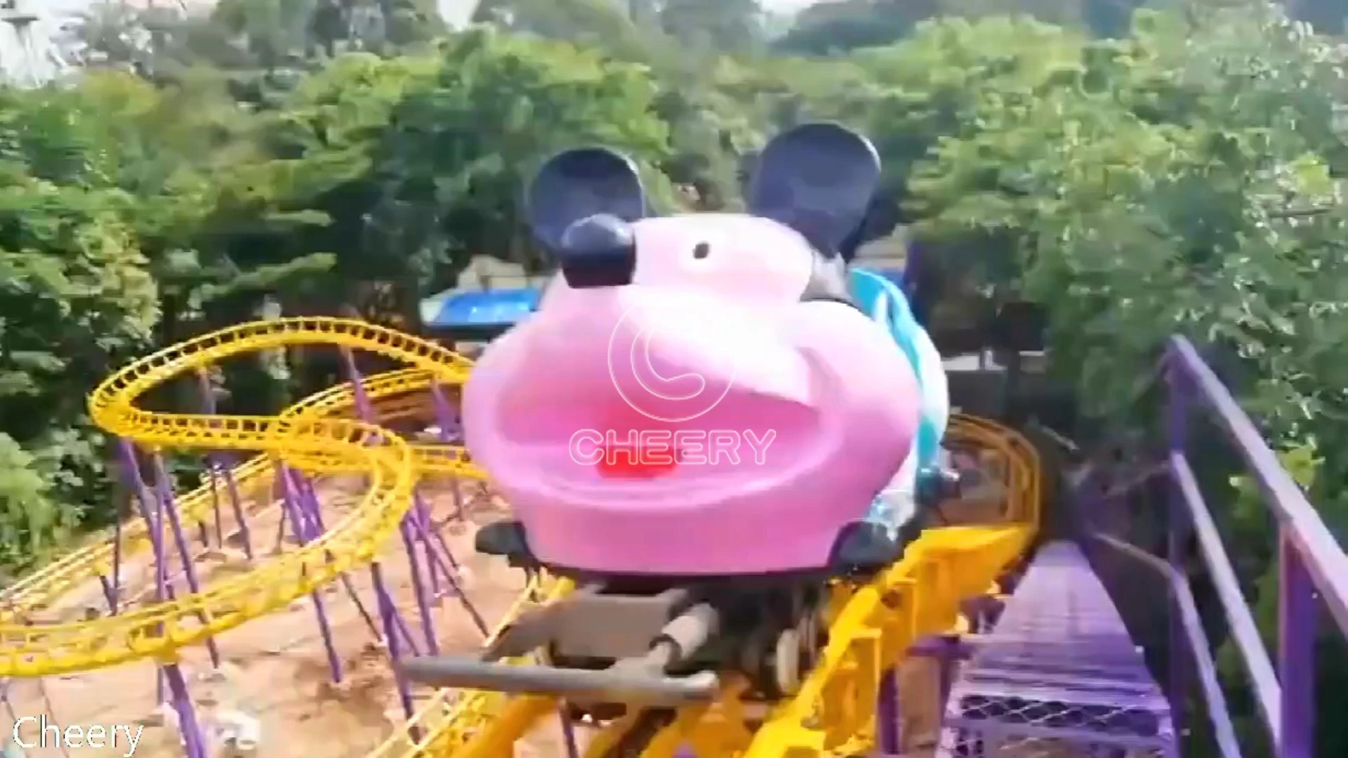 Amusement Park Equipment Crazy Mouse Roller Coaster 1