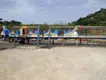 Worldwide Kiddie Amusement Rides for Sale for Park 5
