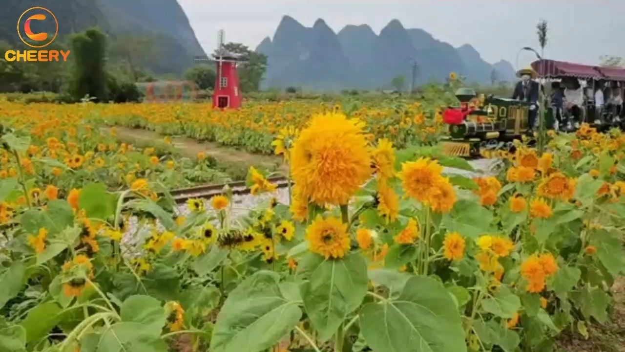 Track Train Amusement Rides - Electric Track Train for Theme Parks 1