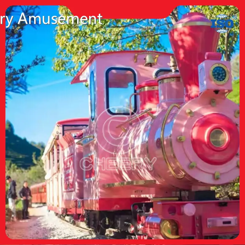 Playground Equipment Manufacturer - for Outdoor - Cheery Amusement 1