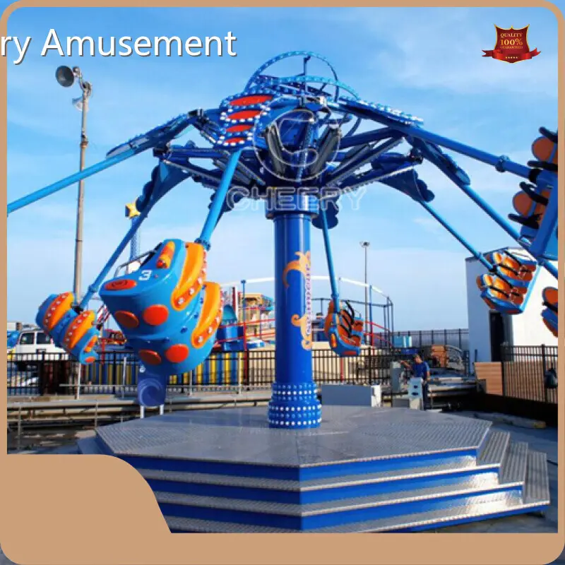 Amusement Rides for Outdoor Company 1