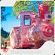 Bulk Outdoor Playground Supplier Price List 1