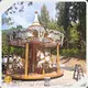 Hot Sale Buy Amusement Rides Series for Industry 1