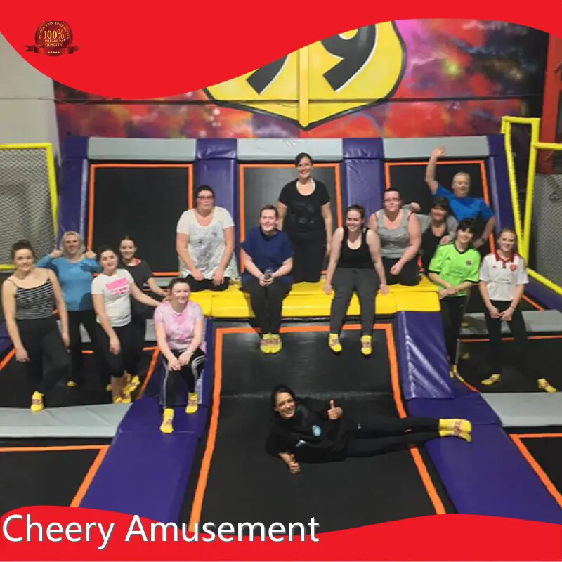 Adult Trampoline Park for Park Personalized 1