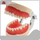 Dental Instruments Manufacturer None - - DINUO 1