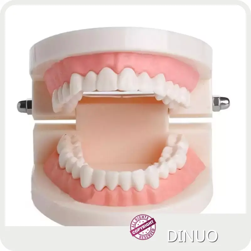 Dental Instruments Suppliers Dental Accessories Wholesale - DINUO 1