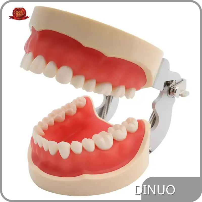 Dental Instruments Suppliers Food-grade Silicone Material Wholesale - DINUO 1