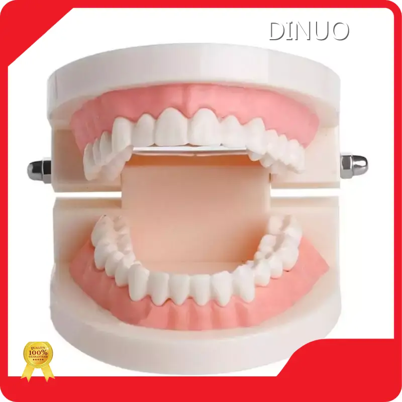 Dental Instruments Manufacturer Di Nuo Wholesale - DINUO 1