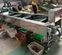 Mushroom Sorting Machines Shiitake Mushroom by JOCONN 3