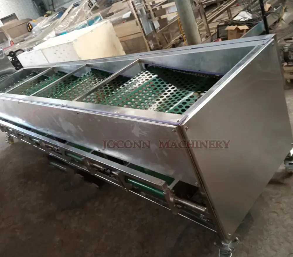 Mushroom Sorting Machines Shiitake Mushroom by JOCONN 5