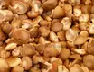 Mushroom Sorting Machines Shiitake Mushroom by JOCONN 7