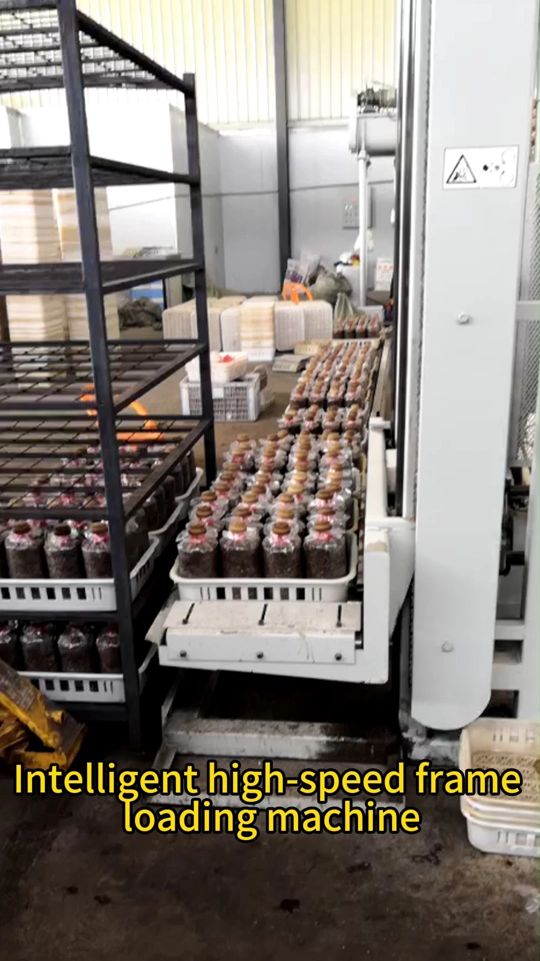 Máquina de carga de cestas de champiñones Cargador de champiñones 1