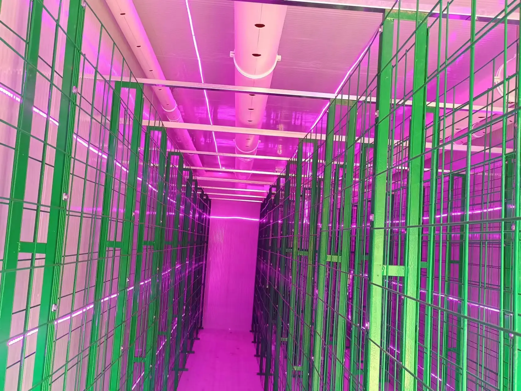 Best Container for Growing Mushrooms 6000*3000*3200 Wholesale - JOCONN 6