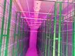 Best Container for Growing Mushrooms 6000*3000*3200 Wholesale - JOCONN 6