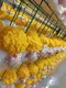 Best Container for Growing Mushrooms 6000*3000*3200 Wholesale - JOCONN 5