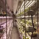 Best Container for Growing Mushrooms 6000*3000*3200 Wholesale - JOCONN 4