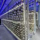 Best Container for Growing Mushrooms 6000*3000*3200 Wholesale - JOCONN 3