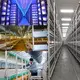 Best Container for Growing Mushrooms 6000*3000*3200 Wholesale - JOCONN 7