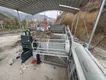 Mushroom Bag Remover Machine 2050*2200*3200mm - - JOCONN 8