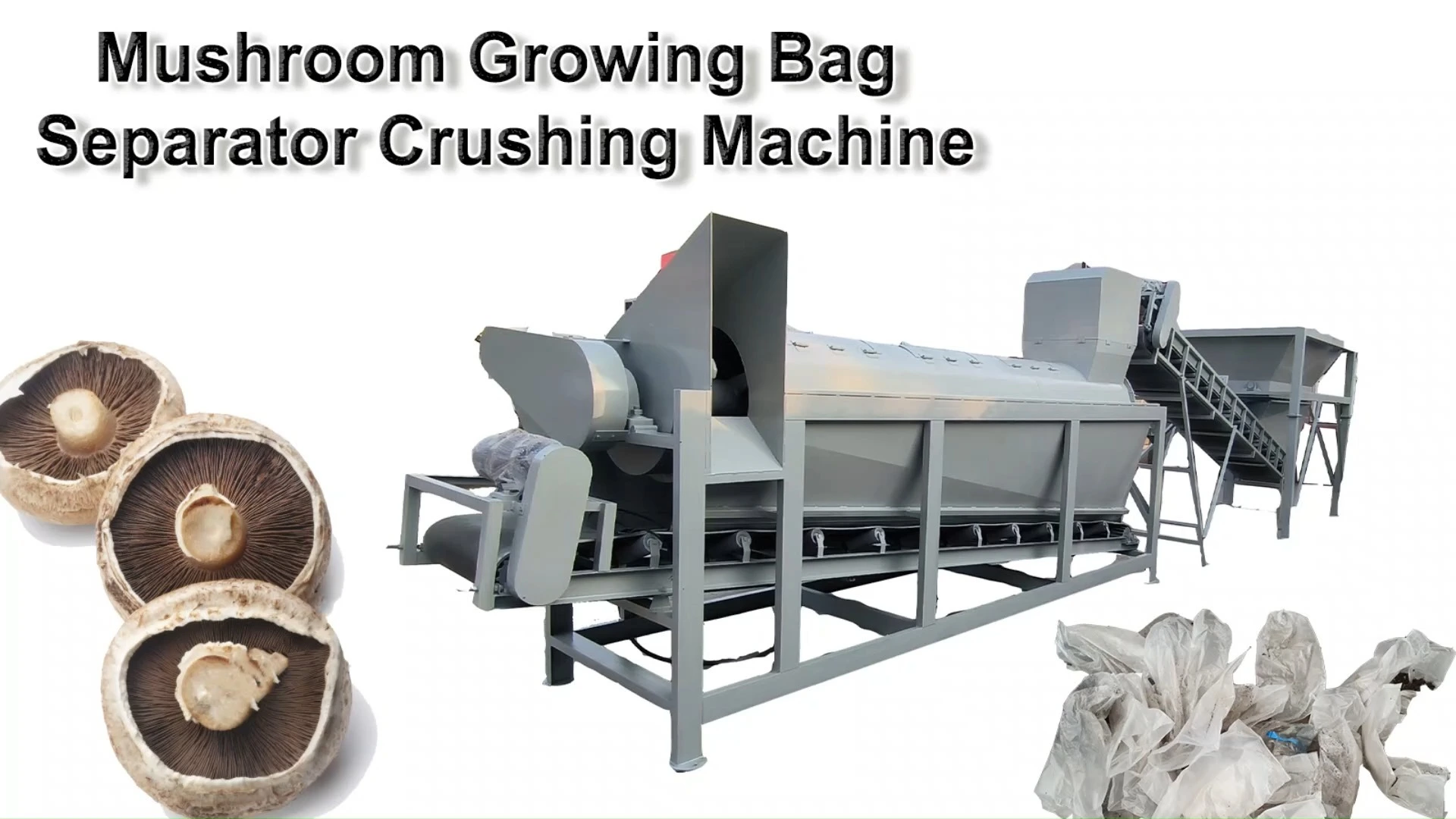 Máquina separadora trituradora de bolsas de hongos 800/900L 1
