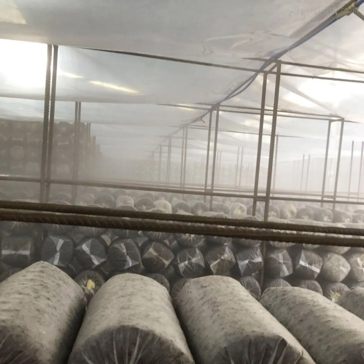 Best Container for Growing Mushrooms 540*330*440mm Wholesale - JOCONN 9