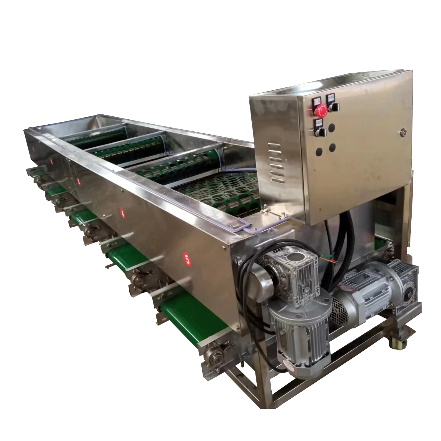 Mushroom Sorting Machines Shiitake Mushroom by JOCONN 2