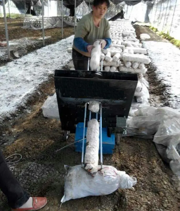 Mushroom Farming Machinery CE by JOCONN 3