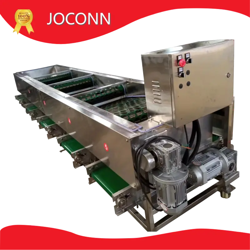Industrial Mushroom Processing Machines Shiitake Mushroom Wholesale - JOCONN 1