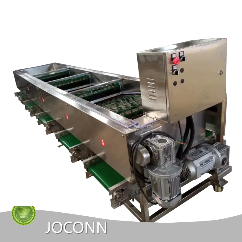 Mushroom Sorting Machines Shiitake Mushroom by JOCONN 1