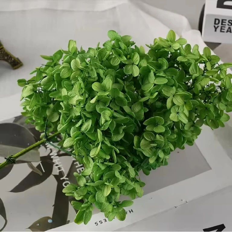 H-186 Hortensia de madera de flor eterna, hortensia de clase A hecha a mano, flor seca, decoración para hotel, hogar y boda, flor preservada 1