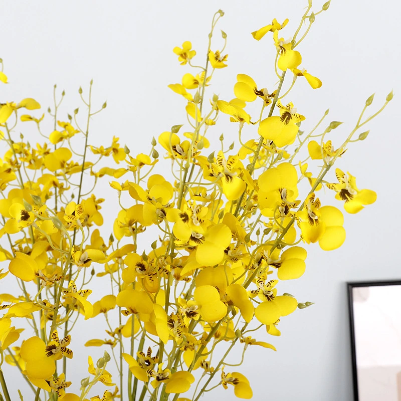 Simulación 3D de orquídeas danzantes para la decoración interior de la sala de estar. 1