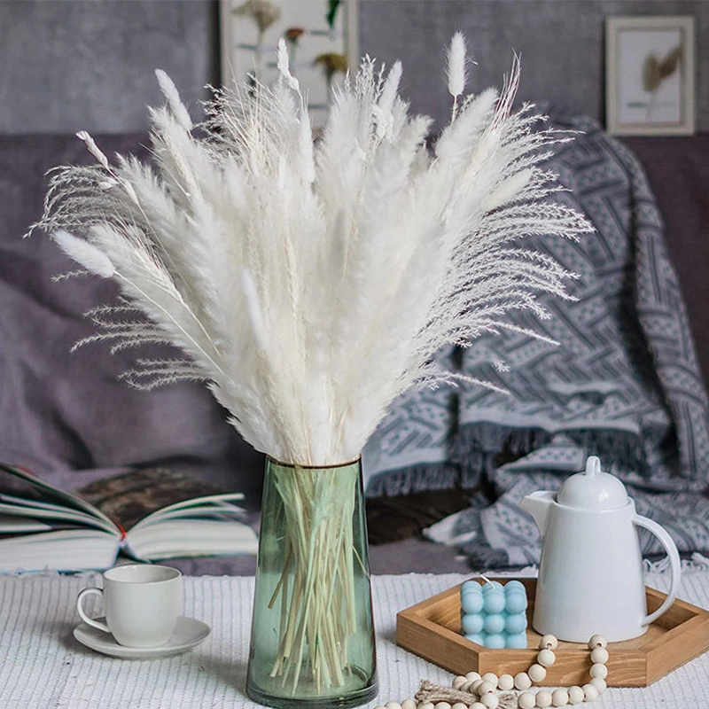 Dusting Rabbit Tail Natural Dried Flower Bouquet Wholesale Pampered reed small reed 1